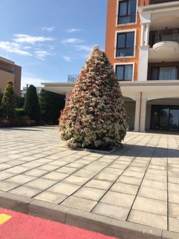 Apartment In Prestige Fort Beach Свети Влас Екстериор снимка